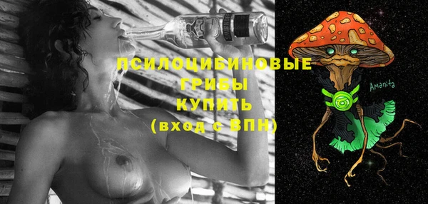 стаф Баксан
