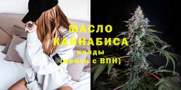 прущий лед Новозыбков